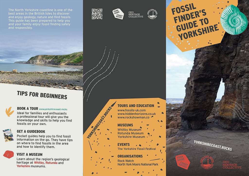 fossil finders guide to Yorkshire flyer