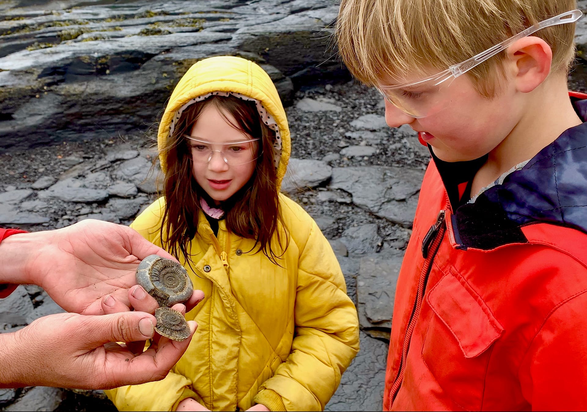 Whitby to Saltwick Fossil Safari - with The Rock Showman - Yorkshire Coast  Rocks!